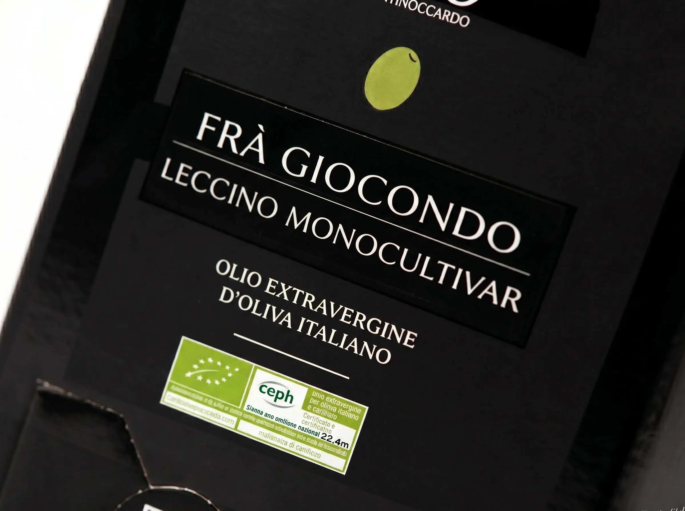Frà Giocondo - immagine 3